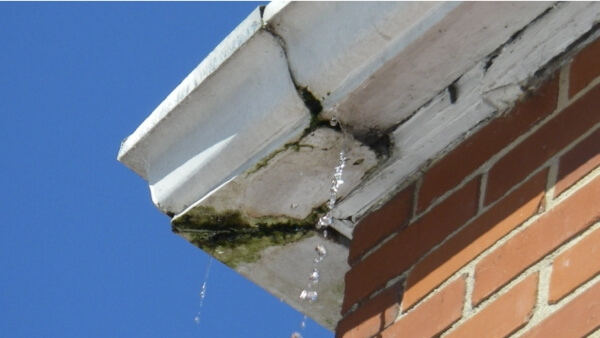 causes of leaking gutters